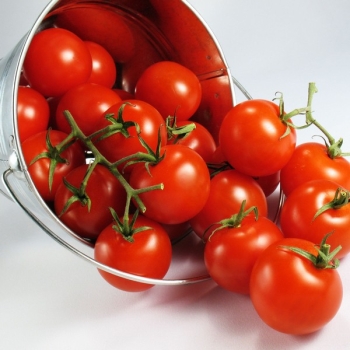 Wiadro nierdzewne  5 l