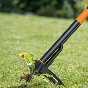 Wyrywacz chwastów FISKARS Xact