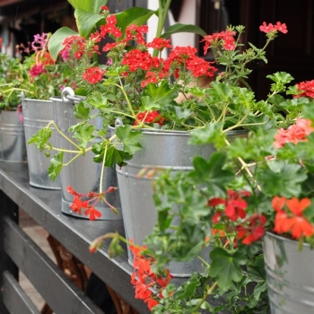 Wiadro ocynk. 12L ECO